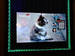 -火吧PTV聚会餐厅(6号店)