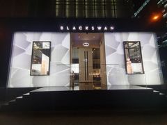 -BLACKSWAN黑天鹅(环球店)