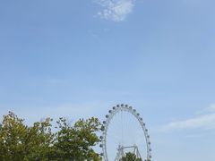 -日照海滨国家森林公园