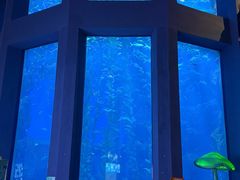 -南昌融创海世界