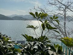 -望湖烤鱼