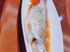 -金陵之星大酒店·中餐厅