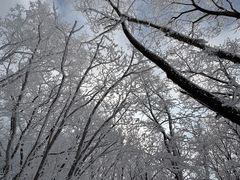 -中旅松花湖滑雪场