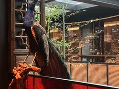 -三喜•正本匠心日料(月河店)