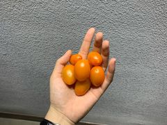 -丹东立强海鲜烧烤·牛B大串(星海店)