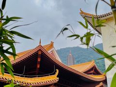 -深圳仙湖植物园