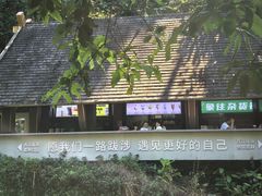 -西双版纳原始森林公园
