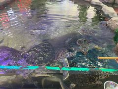 -鸿通城购物中心