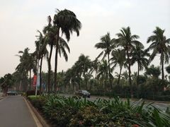 iphone_upload_pic-万绿园