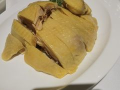上海白斩鸡-圆苑(金茂店)