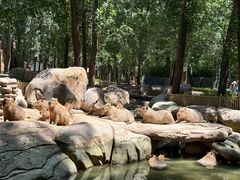 -北京野生动物园