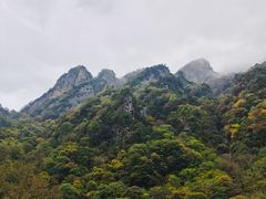 -青峰峡国家森林公园