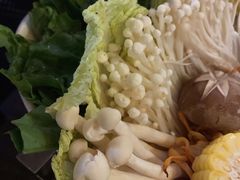 -探窝·竹笙椰子鸡(杨箕店)