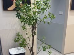 -天真蓝照相馆(五角场百联又一城店)