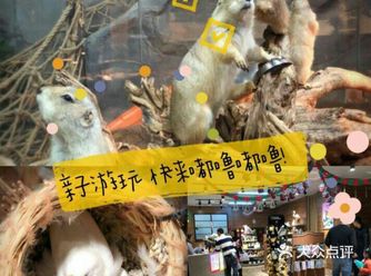 萌宠游乐园Zoo CUTE