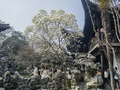 -何园