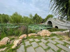 -长春市南湖公园