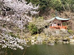 -醍醐寺