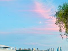 -艾溪湖湿地公园