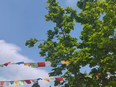 -西安市广仁寺