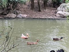 -扬州市茱萸湾风景区