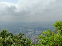 -梧桐山风景名胜区