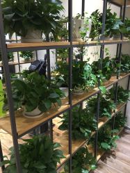 -曼都发型·臻选