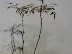 -秋霞圃