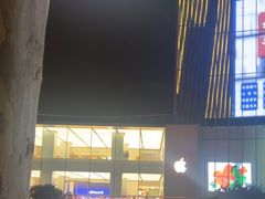 -金茂览秀城