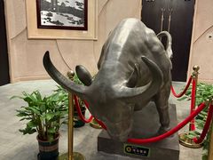 -华西龙希国际大酒店旅游观光景区