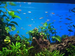 -太平洋海底世界