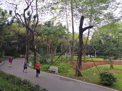 -晓港公园