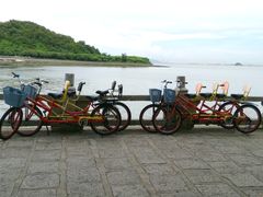 -野狸岛