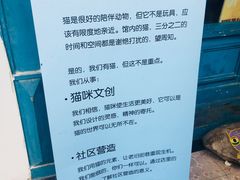 门面-猫咪博物馆(顶澳仔猫街店)