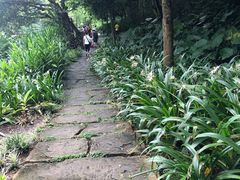 -云溪植物园