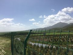 -扁都口生态休闲旅游区
