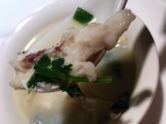 姜君千岛湖鱼头-姜君·千岛湖鱼头馆(浦东大道店)