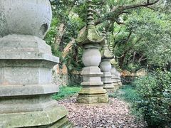 -天台山景区