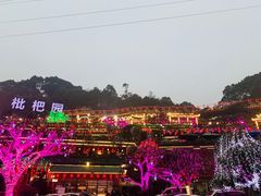 -枇杷园食为鲜火锅(南山店)