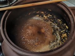 -中国中医科学院西苑医院(本部)