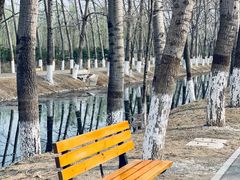 -东郊湿地公园