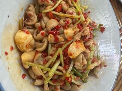 -小能哥土菜研究院