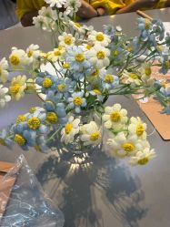 -太湖雪蚕桑文化园