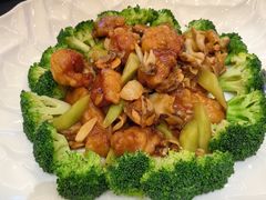-青雅中餐厅(大连金石滩绿发希尔顿度假酒店)