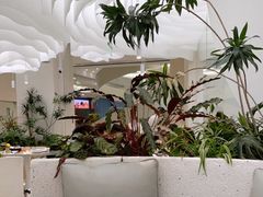 -大树餐厅(朝阳大悦城店)