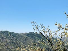 -里口山风景名胜区