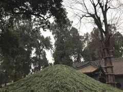 -武侯墓风景区