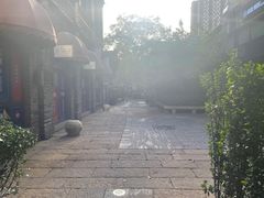 -绿地·中山里