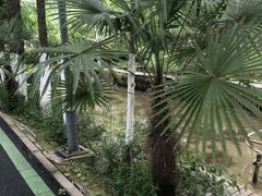 -合肥滨湖国家森林公园