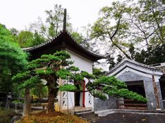 -柳侯公园